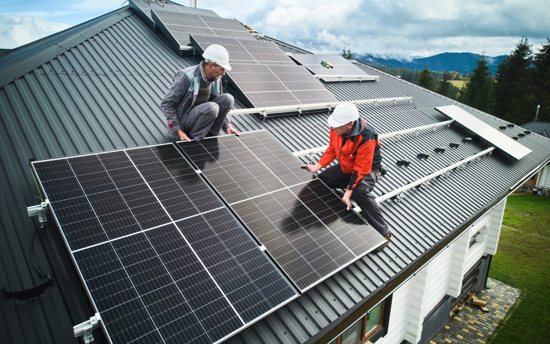 Guía para elegir las placas solares adecuadas
