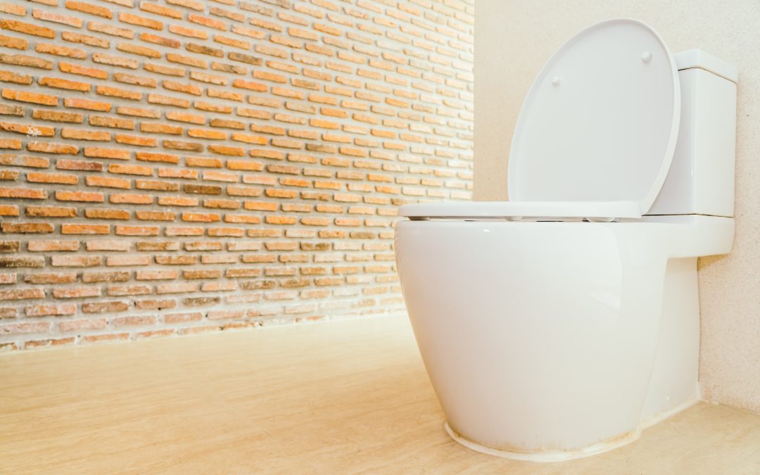 Sanitarios para el hogar: ¿cómo elegir la mejor opción para tu baño?